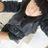Claudia Malluschke's profile picture