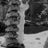 Dieter_Flegel's profile picture