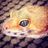 gilfilla's profile picture