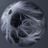 Gibrann Morgado's profile picture