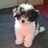 augustina's profile picture