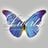 Club Liberty UKG's profile picture