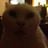 nanonash2's profile picture