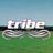 tribefestival's profile picture