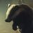 Ilia Rogatchevski's profile picture