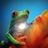 dav lau's profile picture