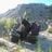 Irek Majchrowski's profile picture