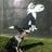 katiehutch's profile picture