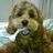 Yasuhiko Kobayashi's profile picture