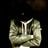 carex's profile picture