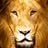 AJ2337's profile picture
