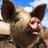 Pigpen Radio's profile picture