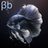 Betta Beats Radio