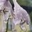 JukkaHouse's profile picture