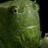 Peter Format's profile picture