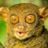 crab1054's profile picture
