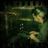 Gabri Gomez's profile picture