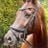 Earl Shaw's profile picture