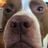 Justin Mccain's profile picture