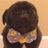 DJ WARZONE,DJLOOK's profile picture