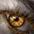 Flor Da Alma's profile picture
