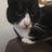 jeromeanddavethecat