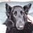 hossyboy71's profile picture