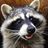Violet's profile picture