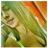 Deysi Pacheco's profile picture