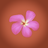 Karine from MC's profile picture