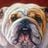 Radio GaGa's profile picture