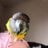 Julia Storer's profile picture