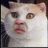 T!MP's profile picture