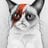 Susana Cunha's profile picture
