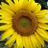 Carol Hill's profile picture