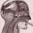 organiComputer 
