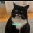 Bos_co53's profile picture