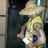 Chi Bihis's profile picture