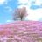 beautiful days