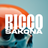 RiccoSakona's profile picture