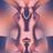 teppei's profile picture