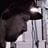 djriddler030's profile picture