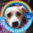 Ron J Brown's profile picture