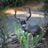 bcw365's profile picture