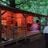 Cabin in the woods