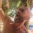 Ronen Itzik's profile picture