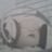 Rob Casey's profile picture