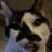 Carolyn Wentzell Gibson's profile picture