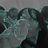 Annita Chil's profile picture