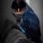 waymellow's profile picture